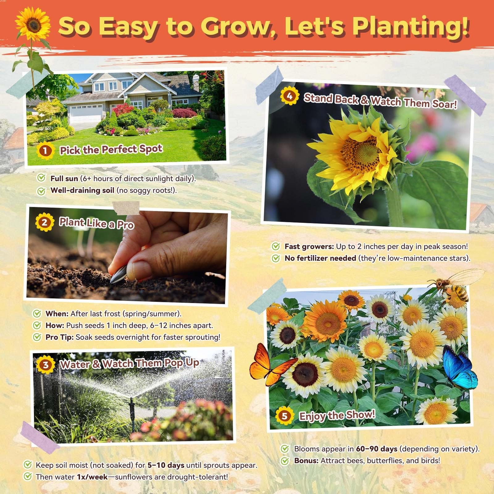 Sunflower Seeds for Planting | 3000+ Giant Mammoth Heirloom Bulk Seeds in 2oz…