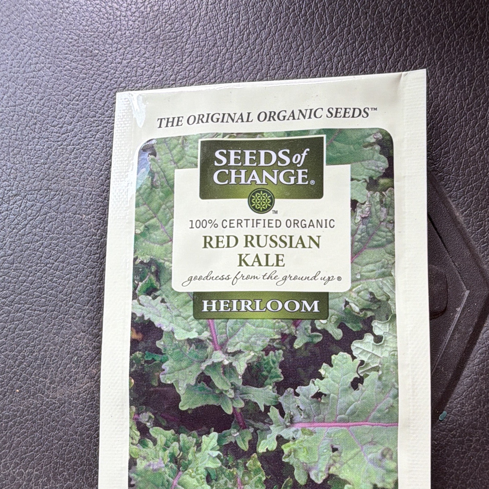 Seeds of Change Organic Heirloom Red Russian Kale Seeds MPN 026
