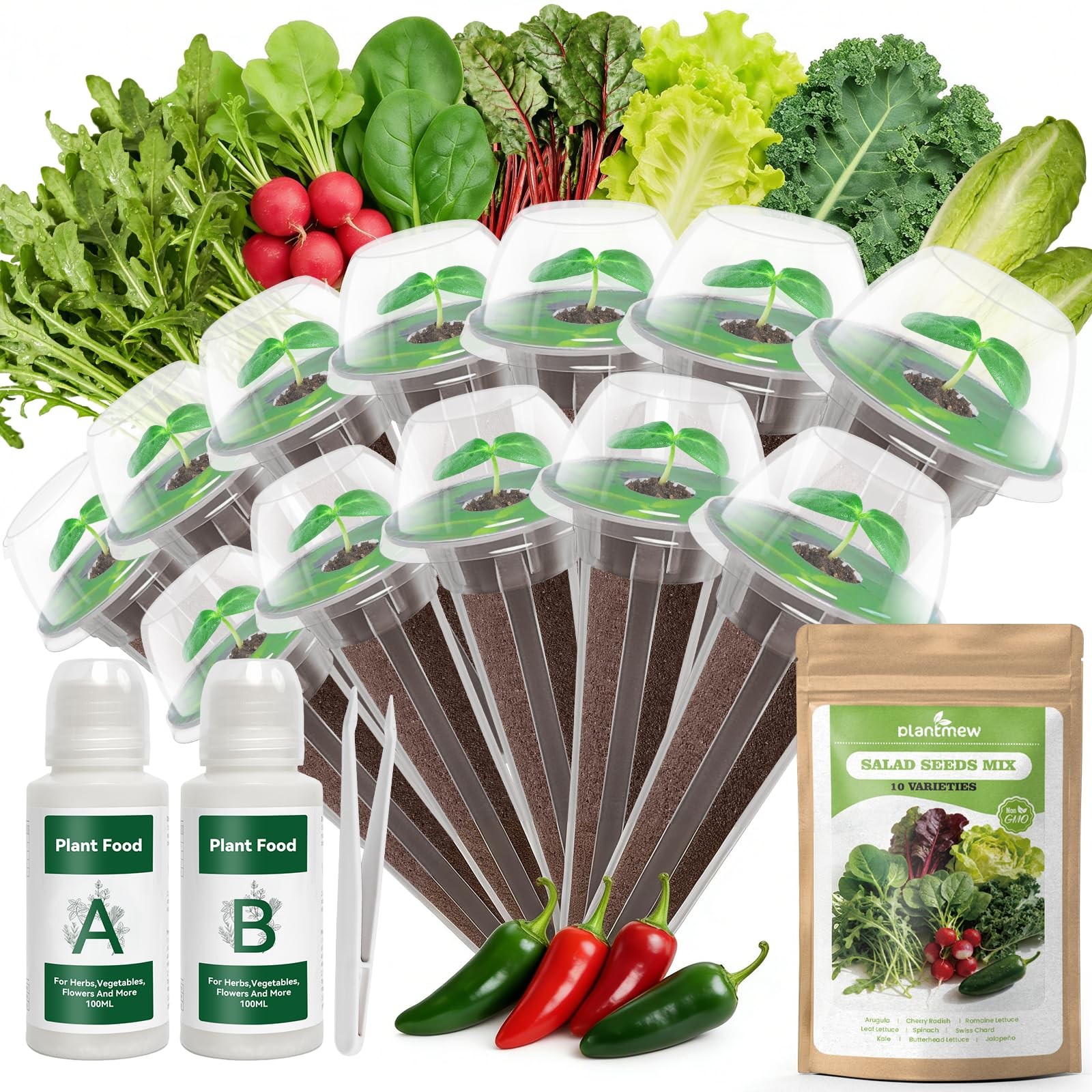 Hydroponic Salad Seed Kit 12 Pods, 9 Varieties, Easy to Grow, High Germination