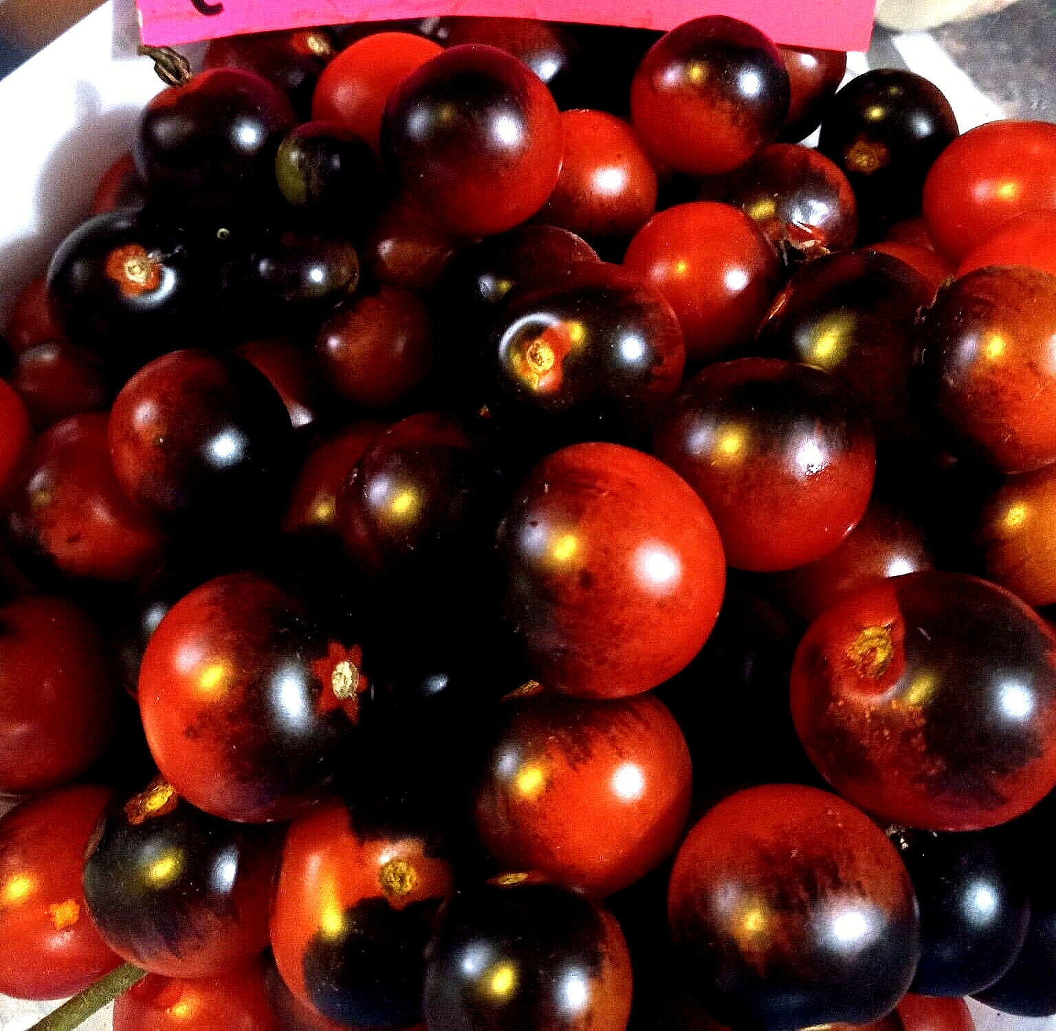 Midnight Snack Cherry Tomato ( Large Clusters of Fruit)