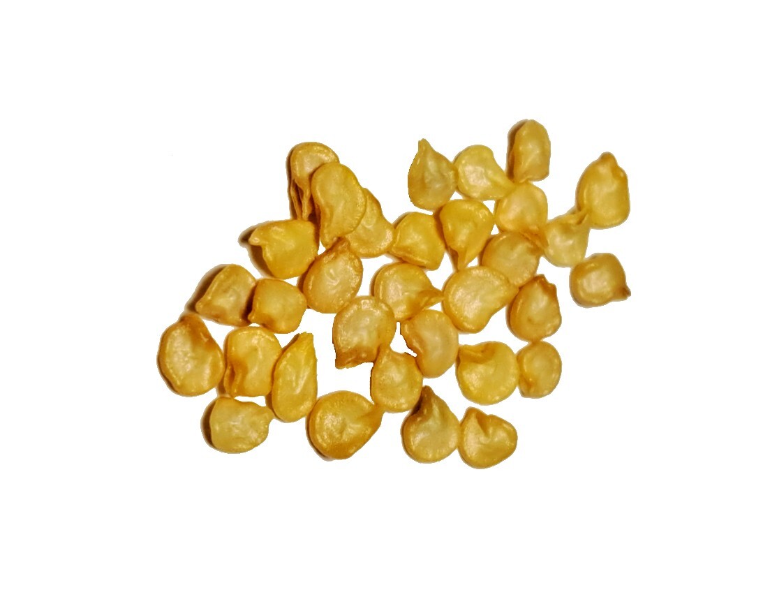 Hawaiian Sweet Hot aka WAIALUA Chili Pepper Seeds BOGO