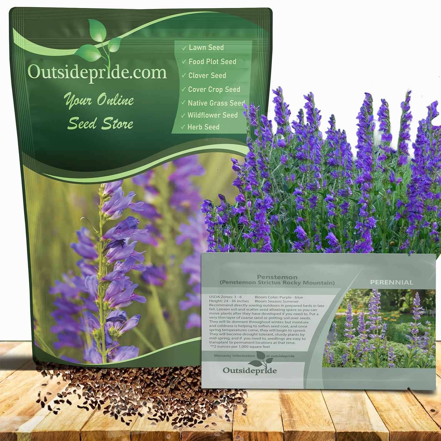 1 LB Drought Tolerant Rocky Mountain Penstemon Flower Seed For Xeriscaping