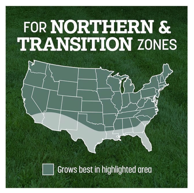 SALE-Pennington Kentucky 31 Tall Fescue Grass Seed 7 lb Covers Up to 1400 Sq Ft