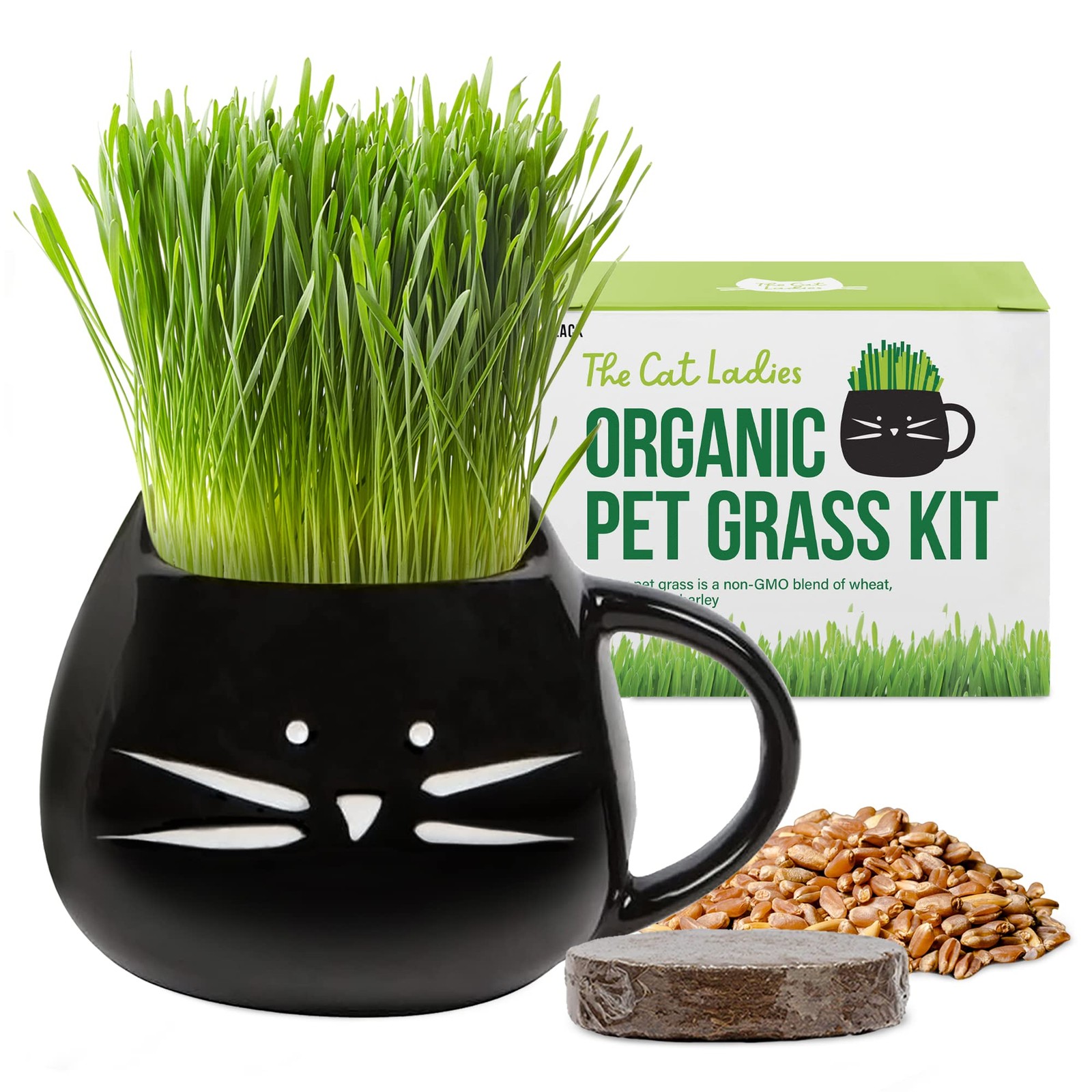 Organic Cat Grass Growing Kit for Indoor Cats Natural Hairball Remedy