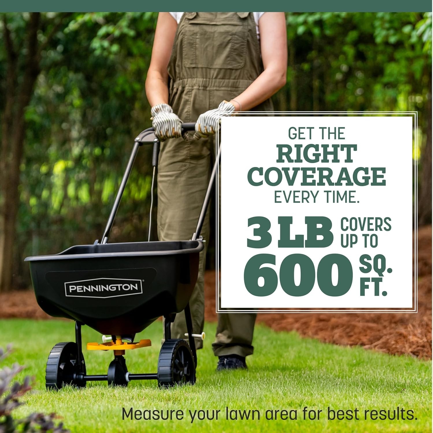 Create a Lush Kentucky 31 Fescue Lawn – 3 LB Grass Seed for Up to 4,000 sq. ft.