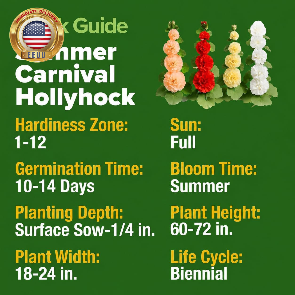 Hollyhock Summer Carnival Mix Flower Seeds – Alcea Rosea, Premium Annual Flower