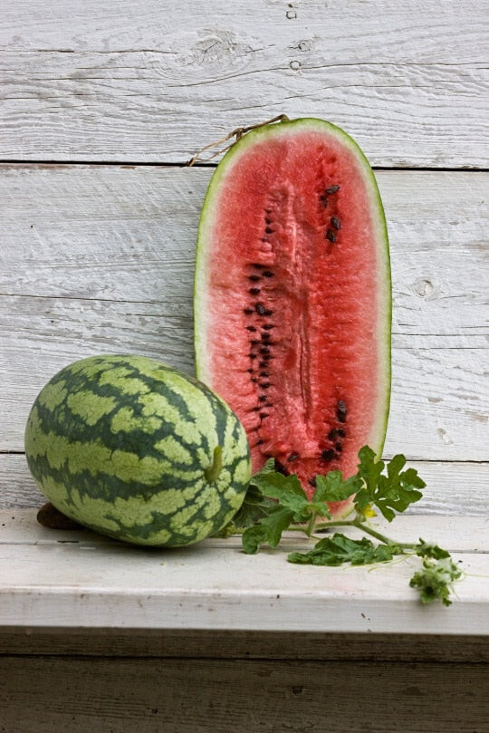 50+ Georgia Rattlesnake Watermelon Seeds for Planting – USA – FREE SHIPPING!