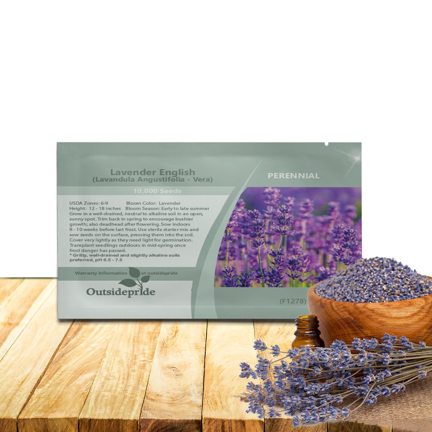 10000 Seeds Lavender English Herb Plant Seed For Planting Outdoors | Vera Seeds