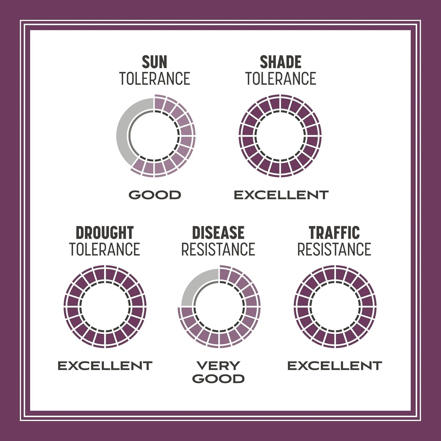 The Rebels Tall Fescue Shady Grass Seed Mix 7 lb