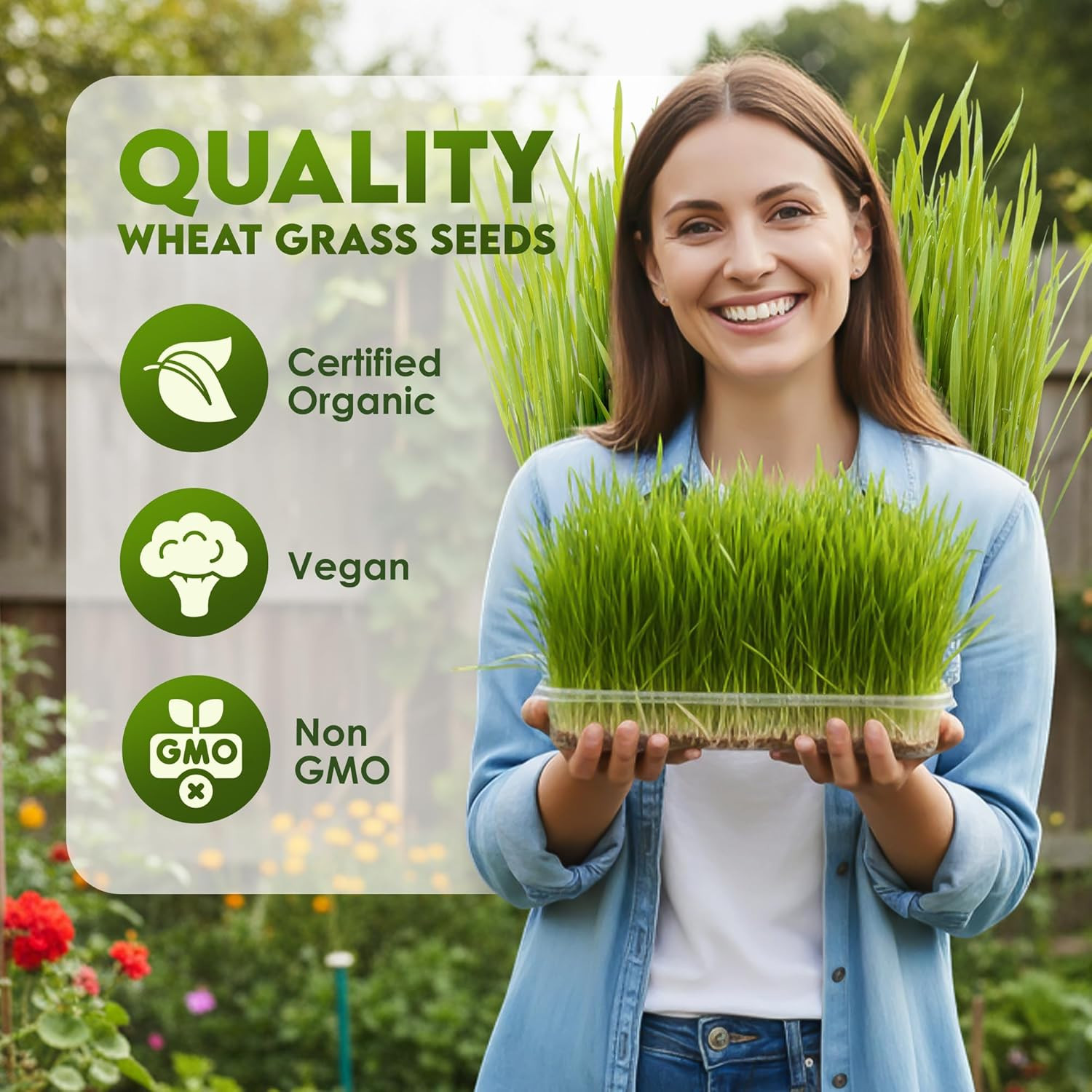 Wheat Grass Seeds – Non-Gmo Organic Seeds for Planting, Cat Grass for Growing &