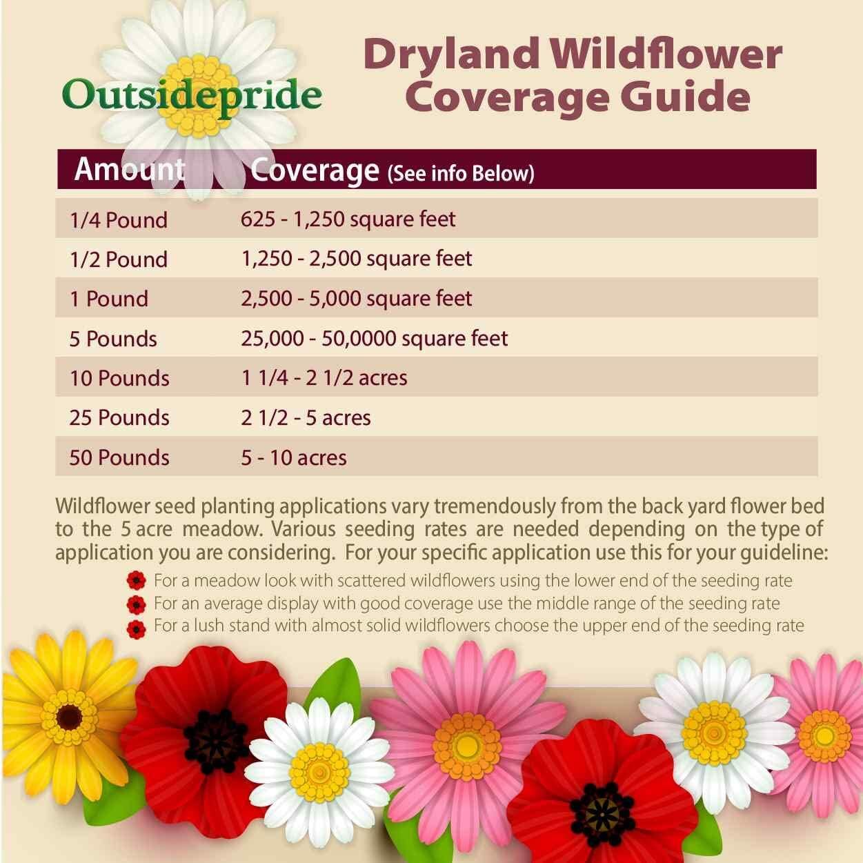 1 Lb. Xeriscape Dryland Drought Tolerant Wild Flower Seed Mix For A
