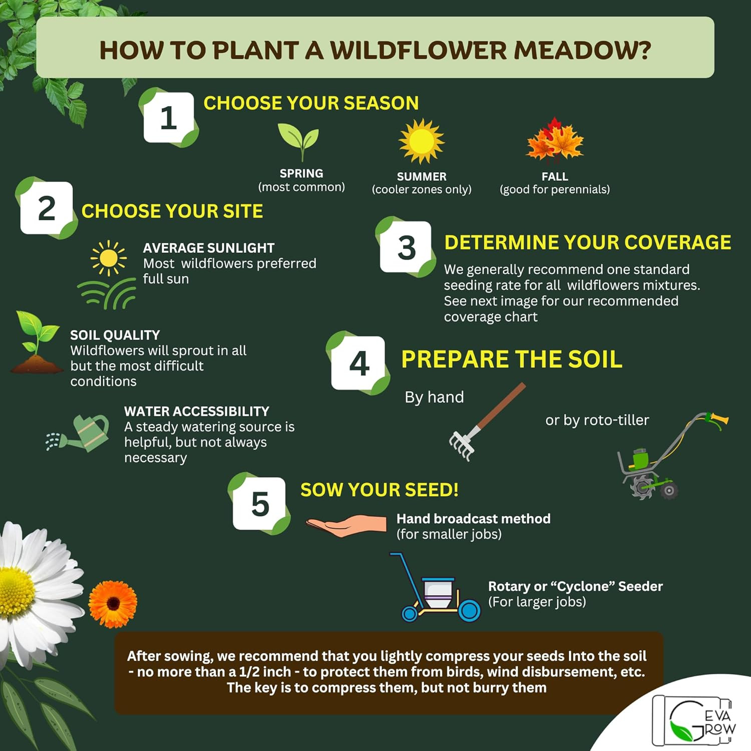 Mini Wildflower Seed Shaker – save the Bees Seed Mix, by | 80,000+ Seeds | Poll