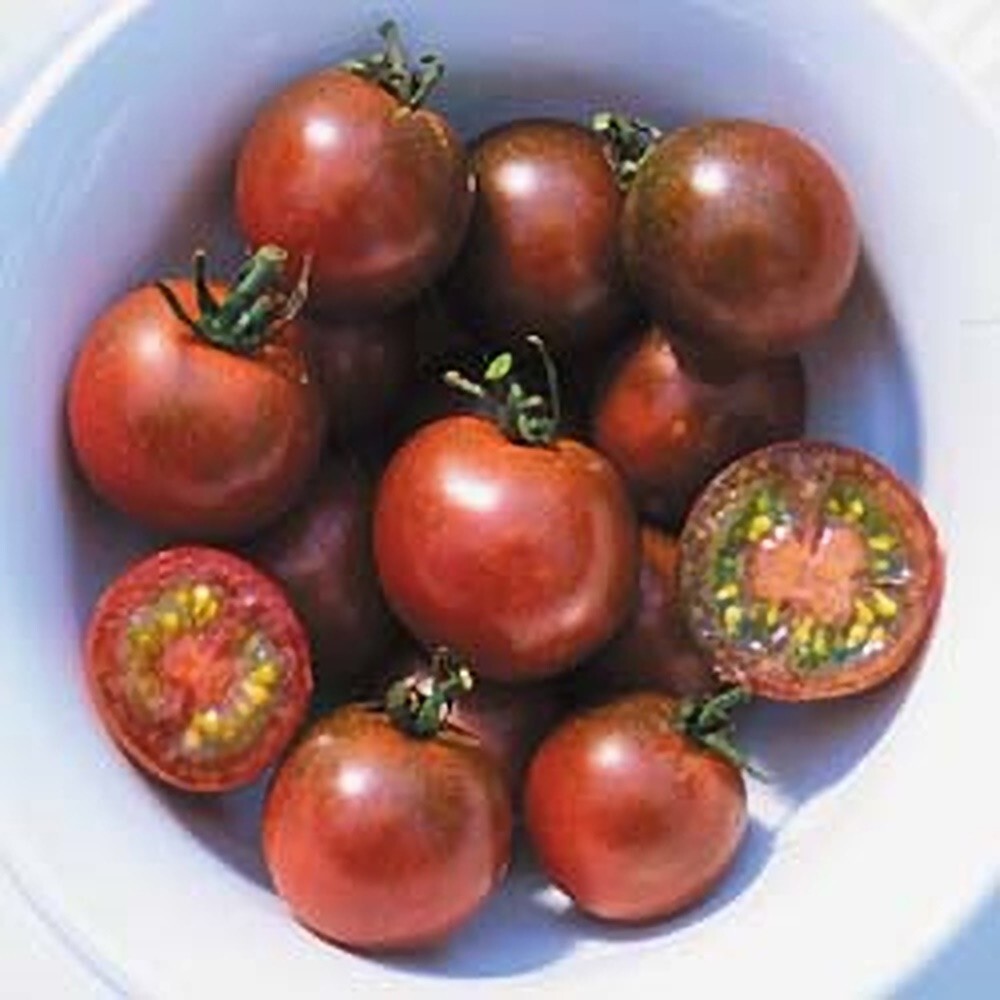 120+ Brown Berry Tomato Seeds – Heirloom – NON GMO – Organic ————– RARE