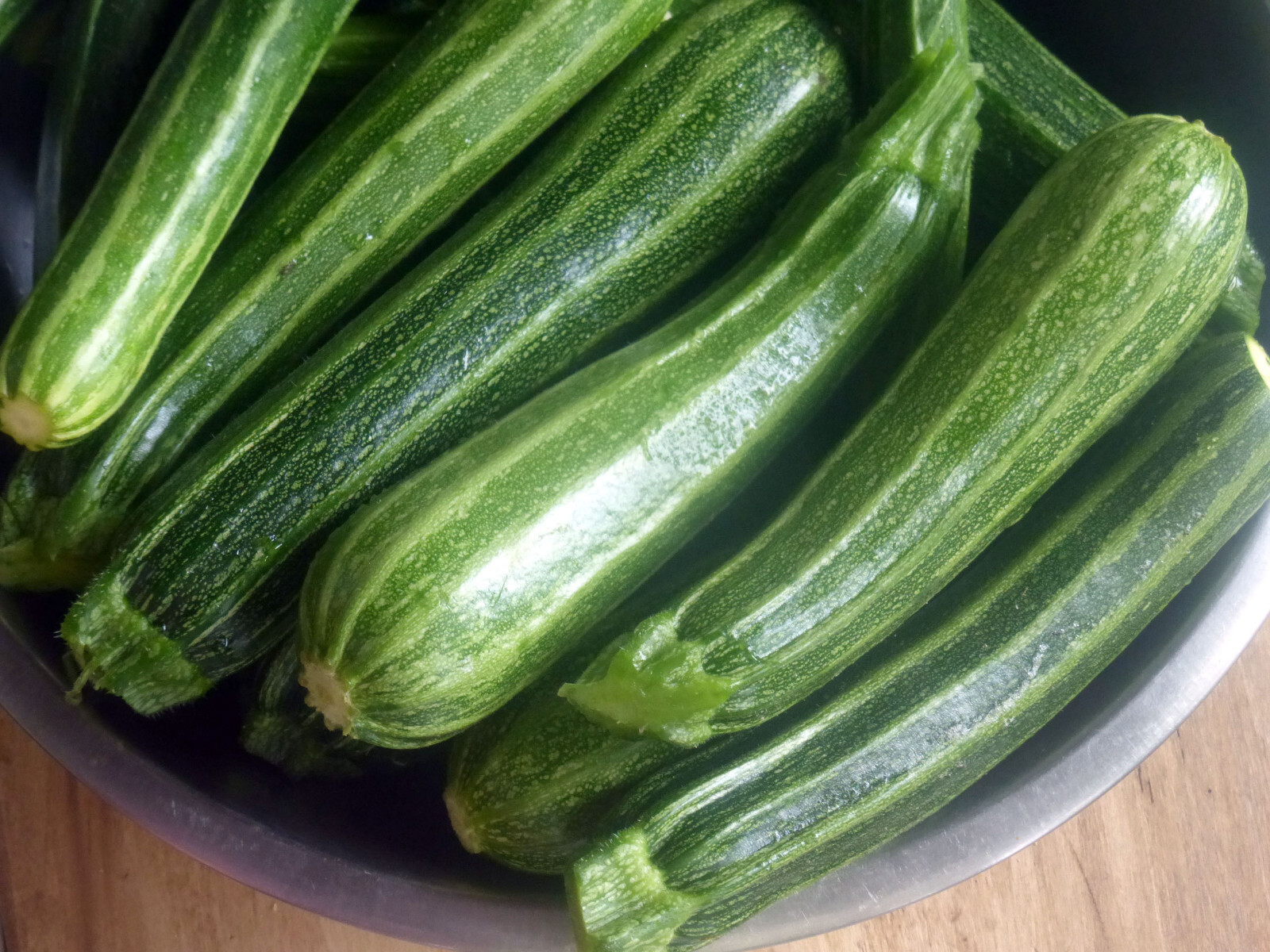 20 COCOZELLE SUMMER SQUASH SEEDS FRESH HARVEST FOR 2024 GARDENS