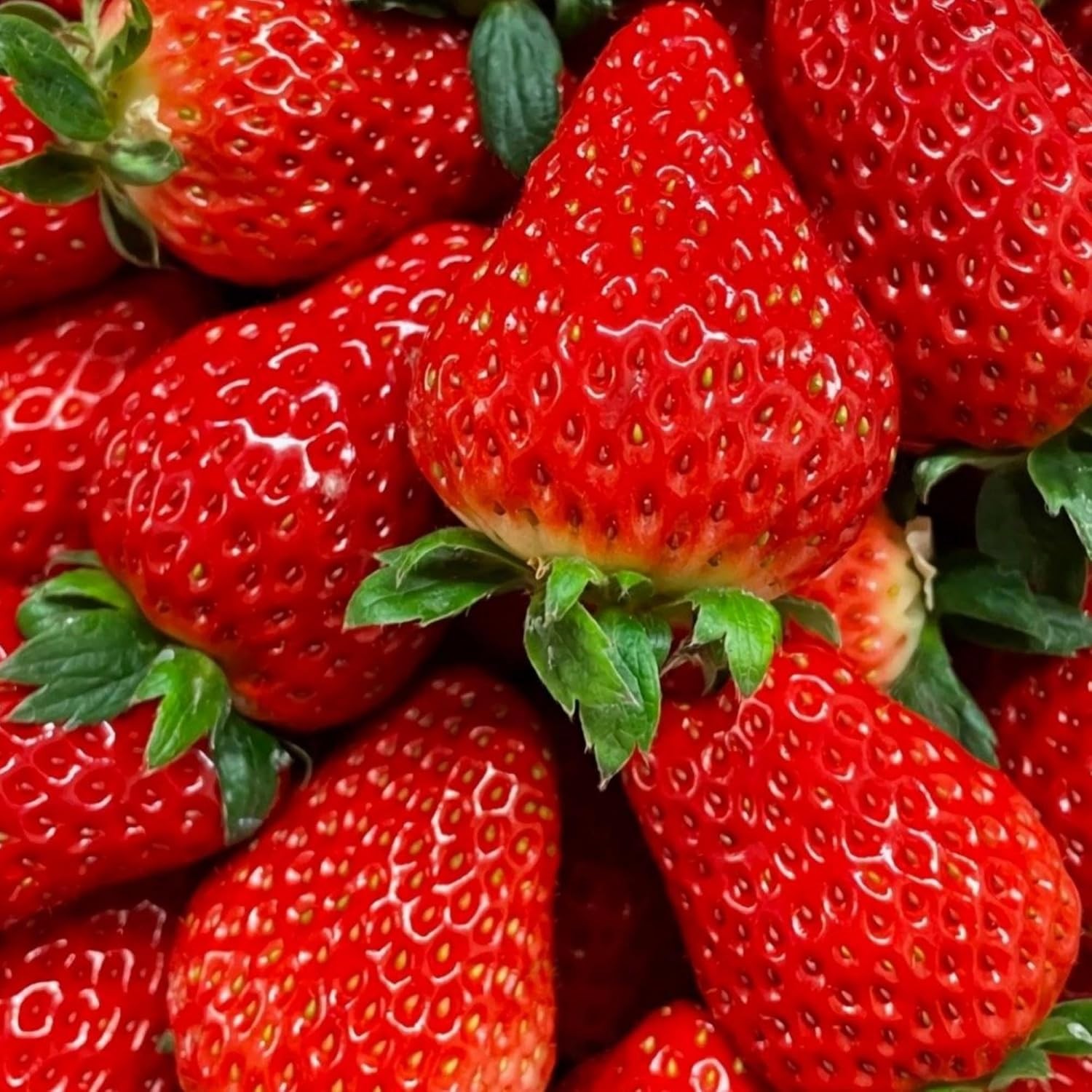 850+ Mixe Color Strawberry Seeds for Planting – Yellow, White, Red Strawberry Se