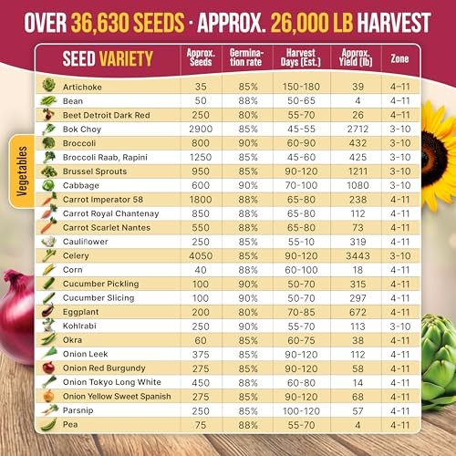 55 Vegetable Seeds Variety Pack – 35,600+ Non 55 Most Popular Vegetable Seeds