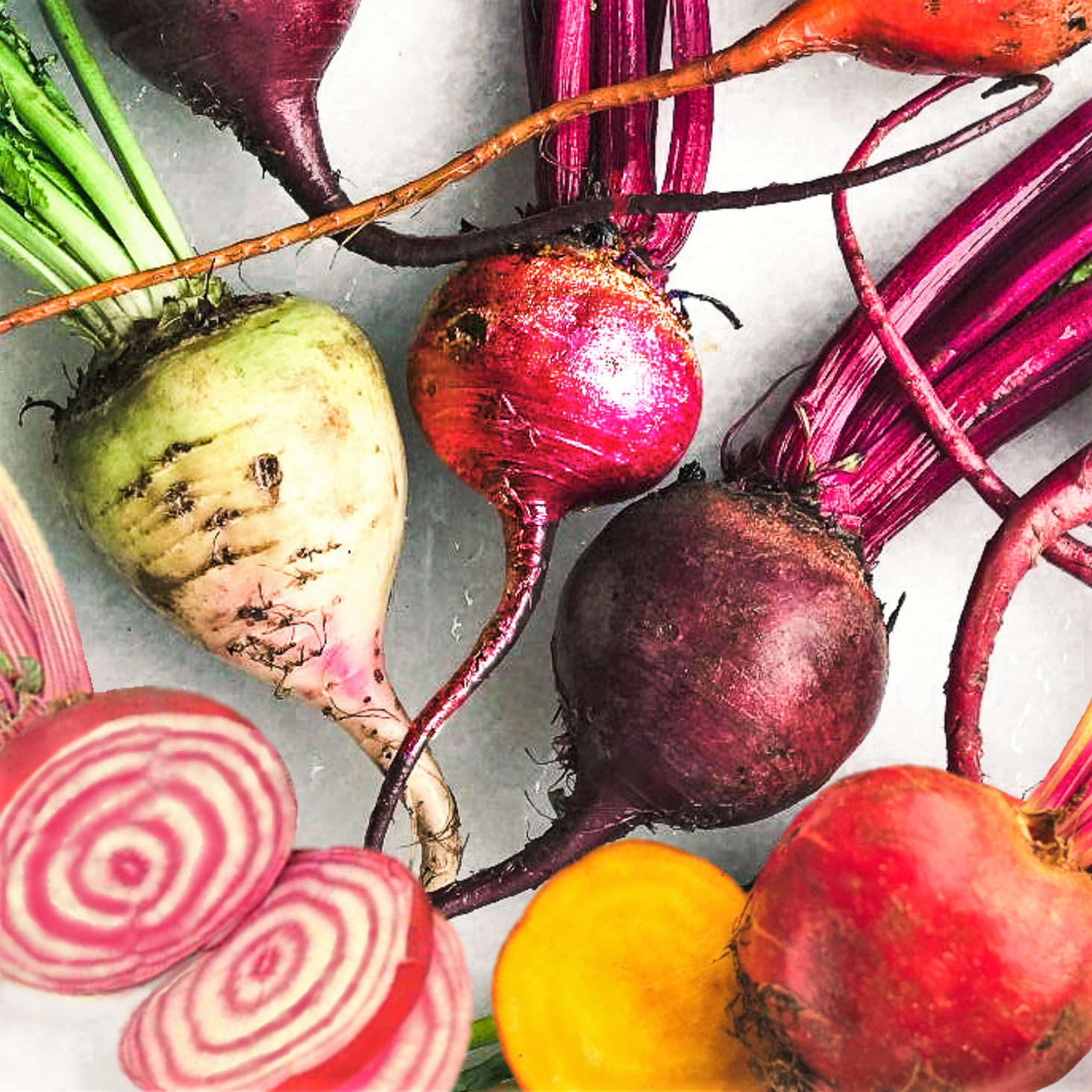Rainbow Mix Beet Seeds | 5 Species Color Blend Radish Turnip Vegetable Seed 2022