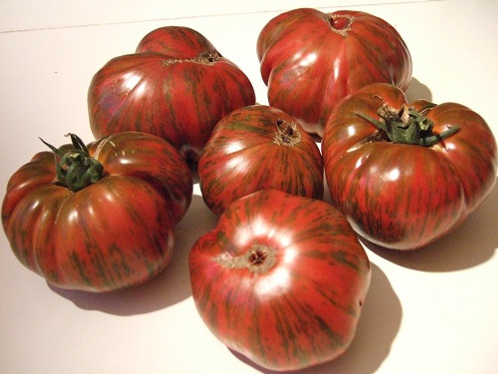 30 CHOCOLATE STRIPES TOMATO SEEDS ~ heirloomseedguy ~ 2026 ~ NON-GMO