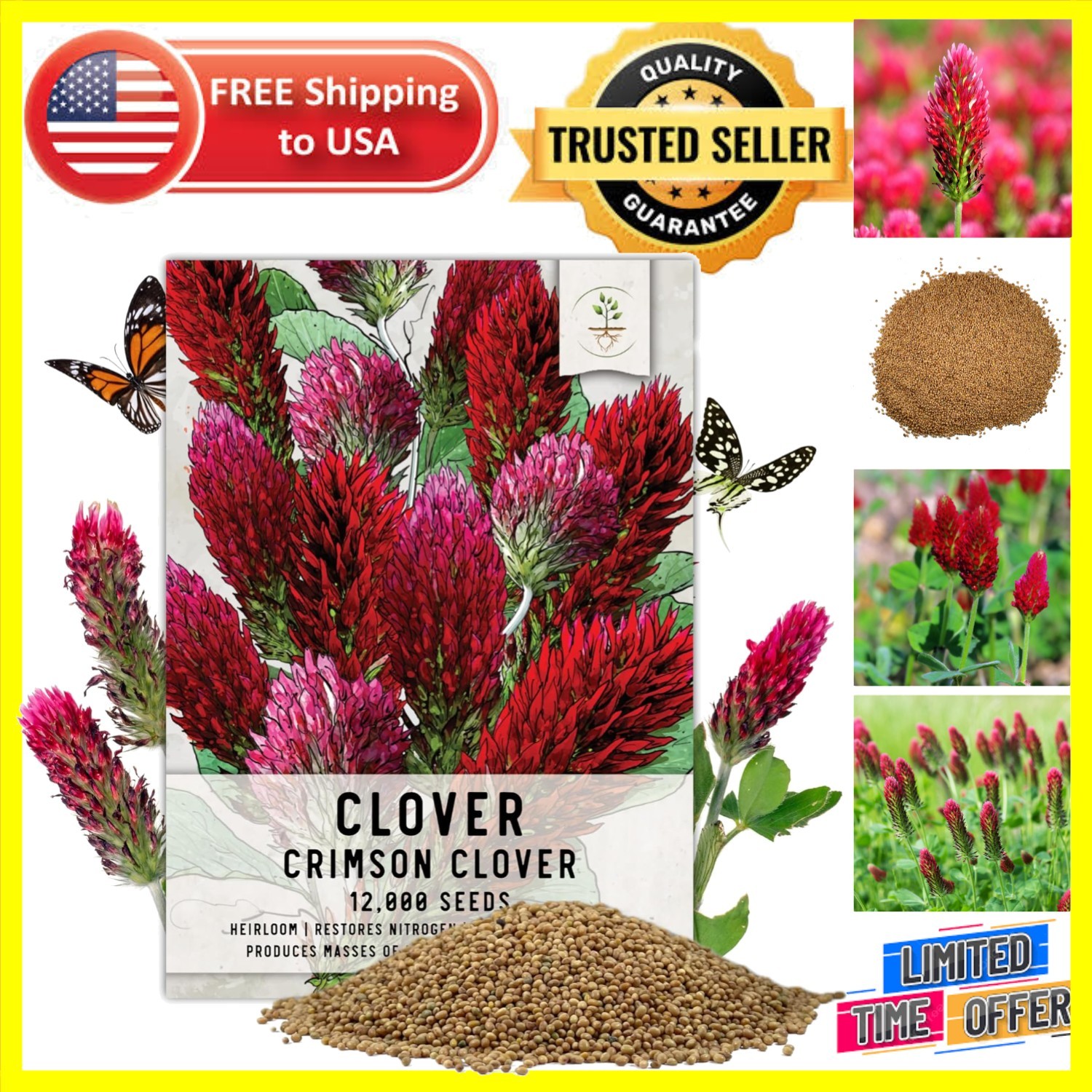 12,000+ Heirloom Crimson Clover Seeds for Vibrant Pollinator-Friendly Gardens