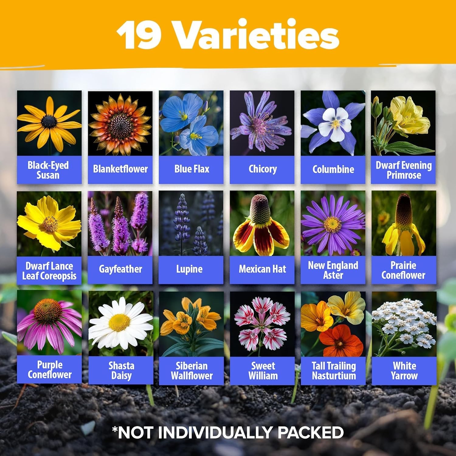 Pollinator Garden Wildflower Seed Mix