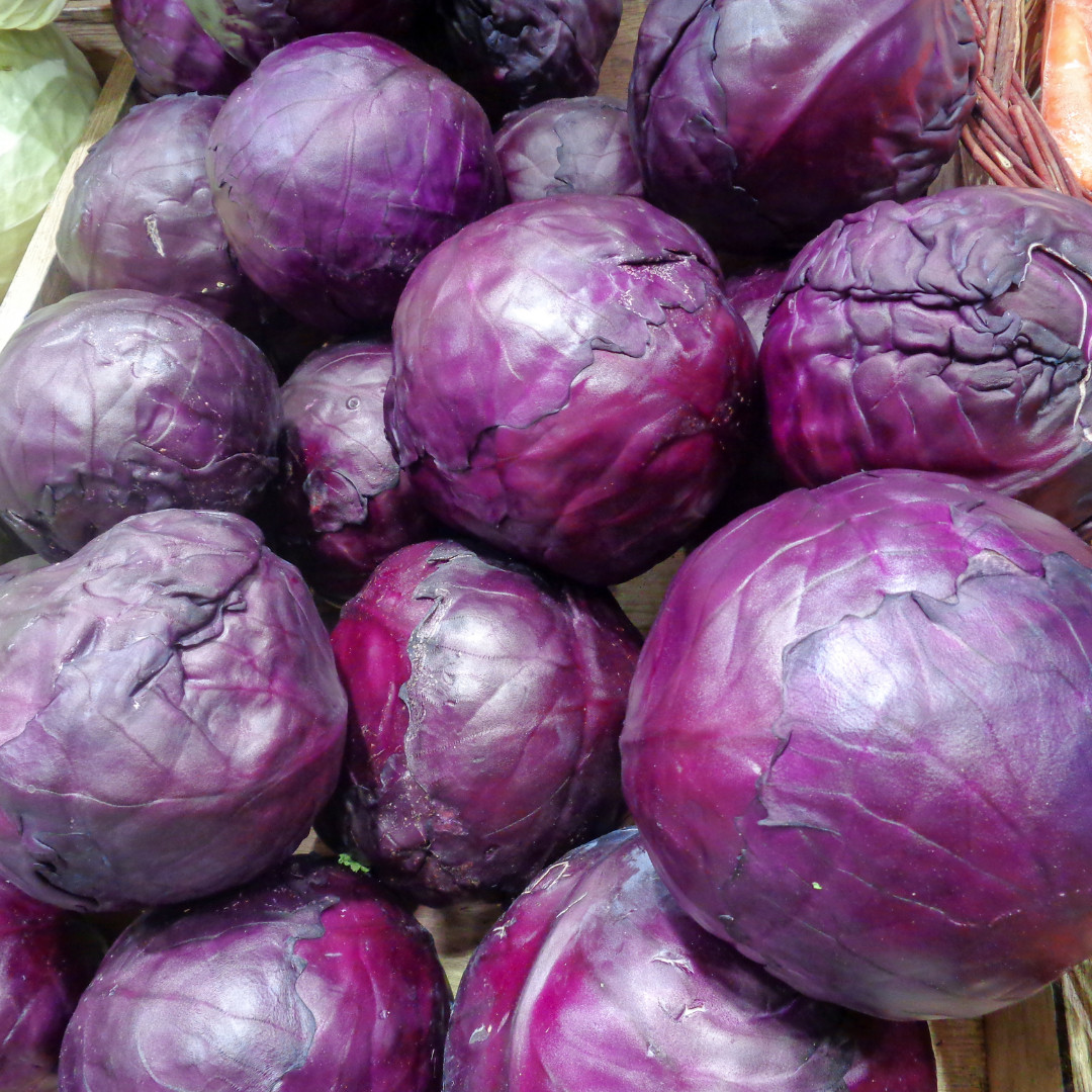 Fresh Crisp Endive Seeds | Radicchio| Heirloom Non-GMO | Vegetable Seeds