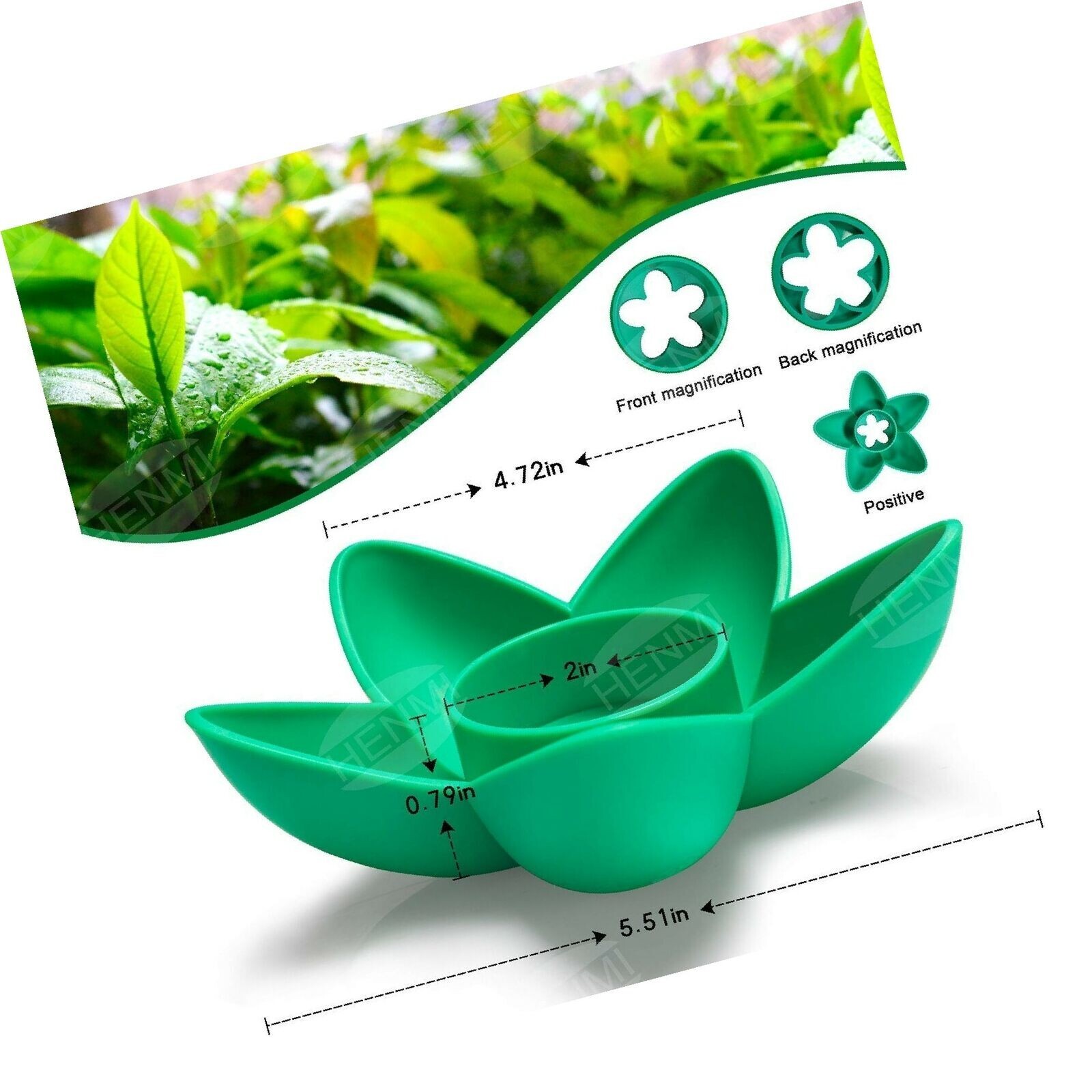 Avocado Tree Growing Kit with seed pod base and germination bowl Green OLIZE