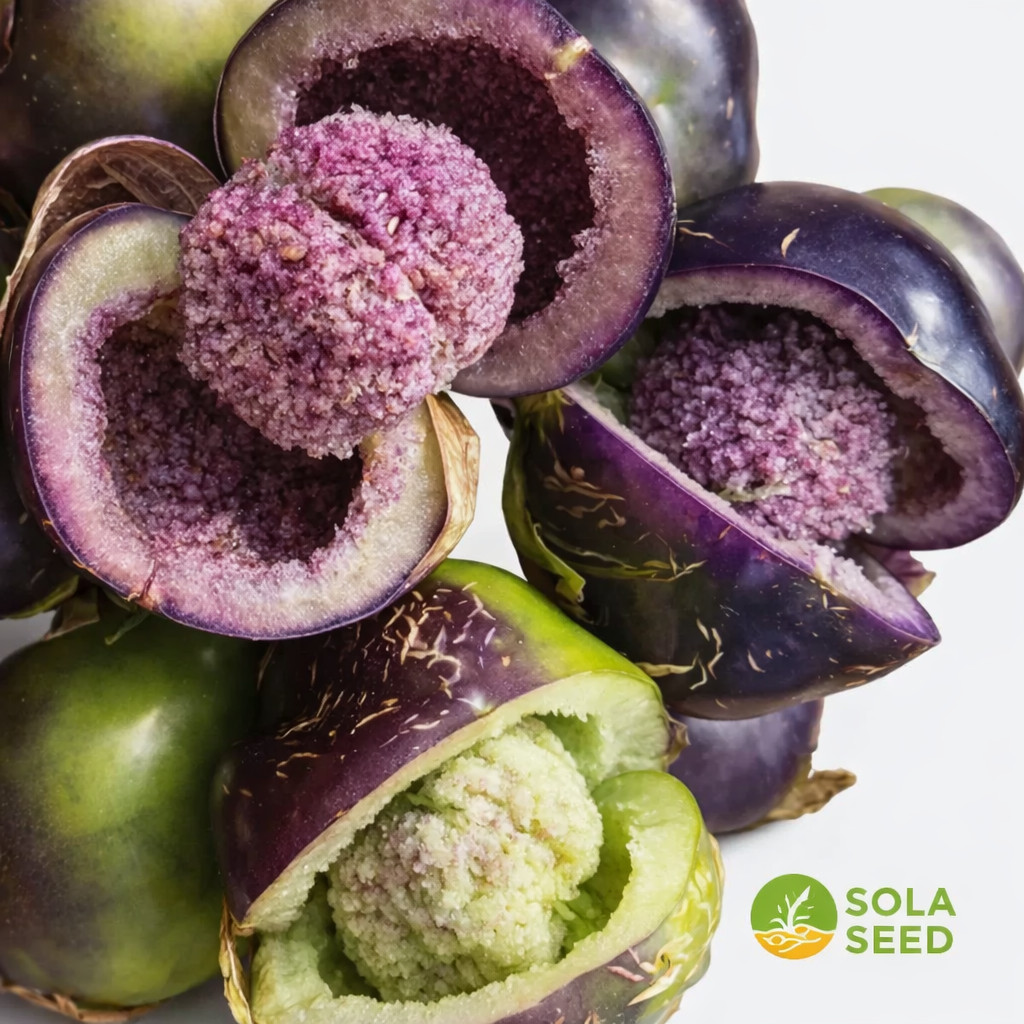 25 Amethyst & Emerald Geode Tomatillo Seeds, Rare, Organic, Non-GMO, Genuine USA