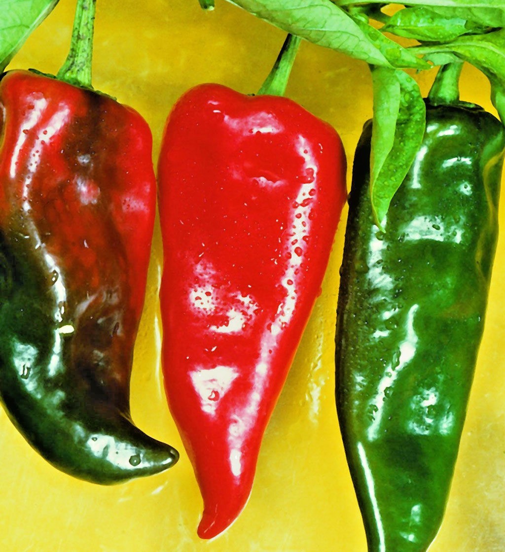 Anaheim chili hot pepper seeds non-gmo heirloom open pollinated awesome flavor!