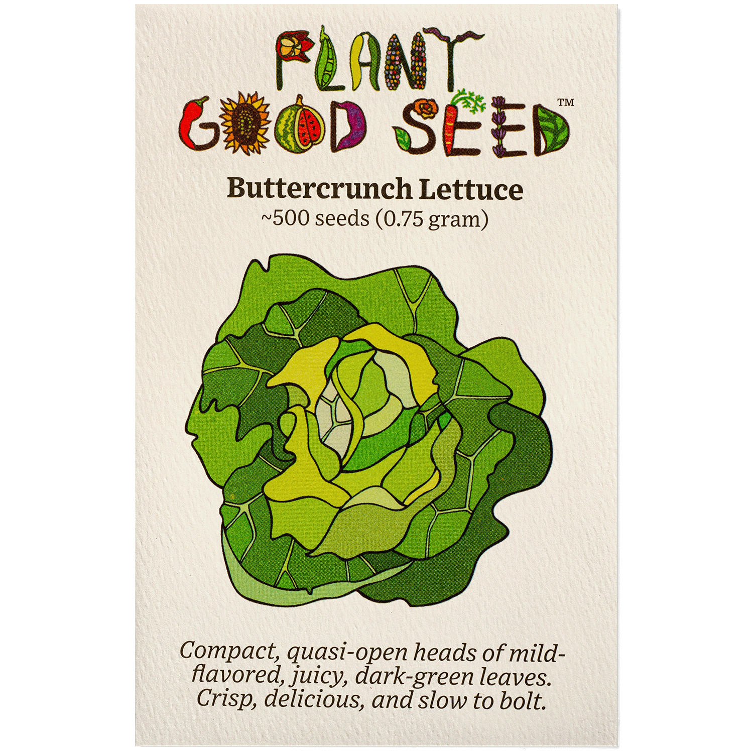 Buttercrunch Lettuce Seeds