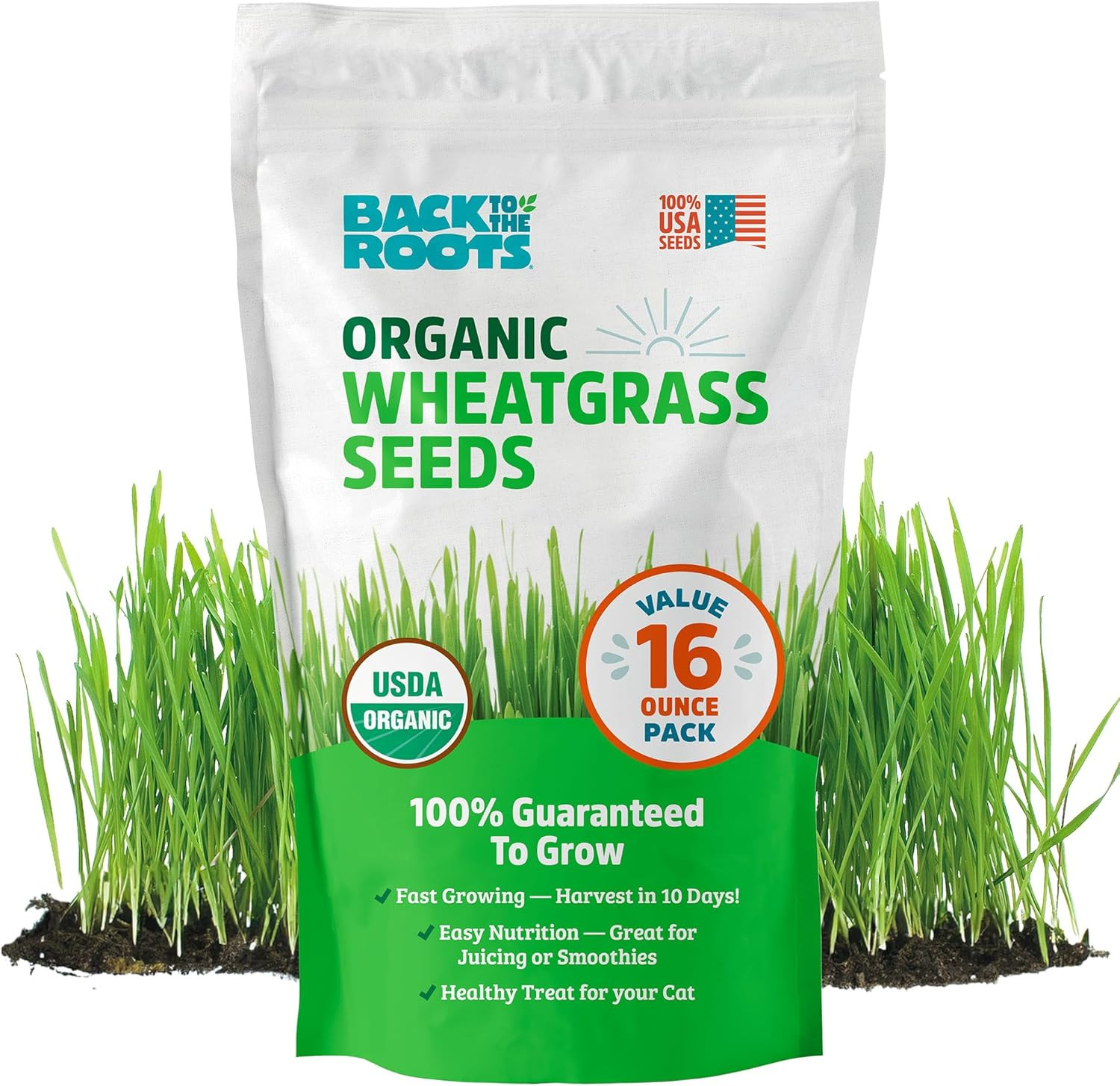 100% Organic Wheatgrass Seeds | 1 Pound Non-Gmo | Nutrient