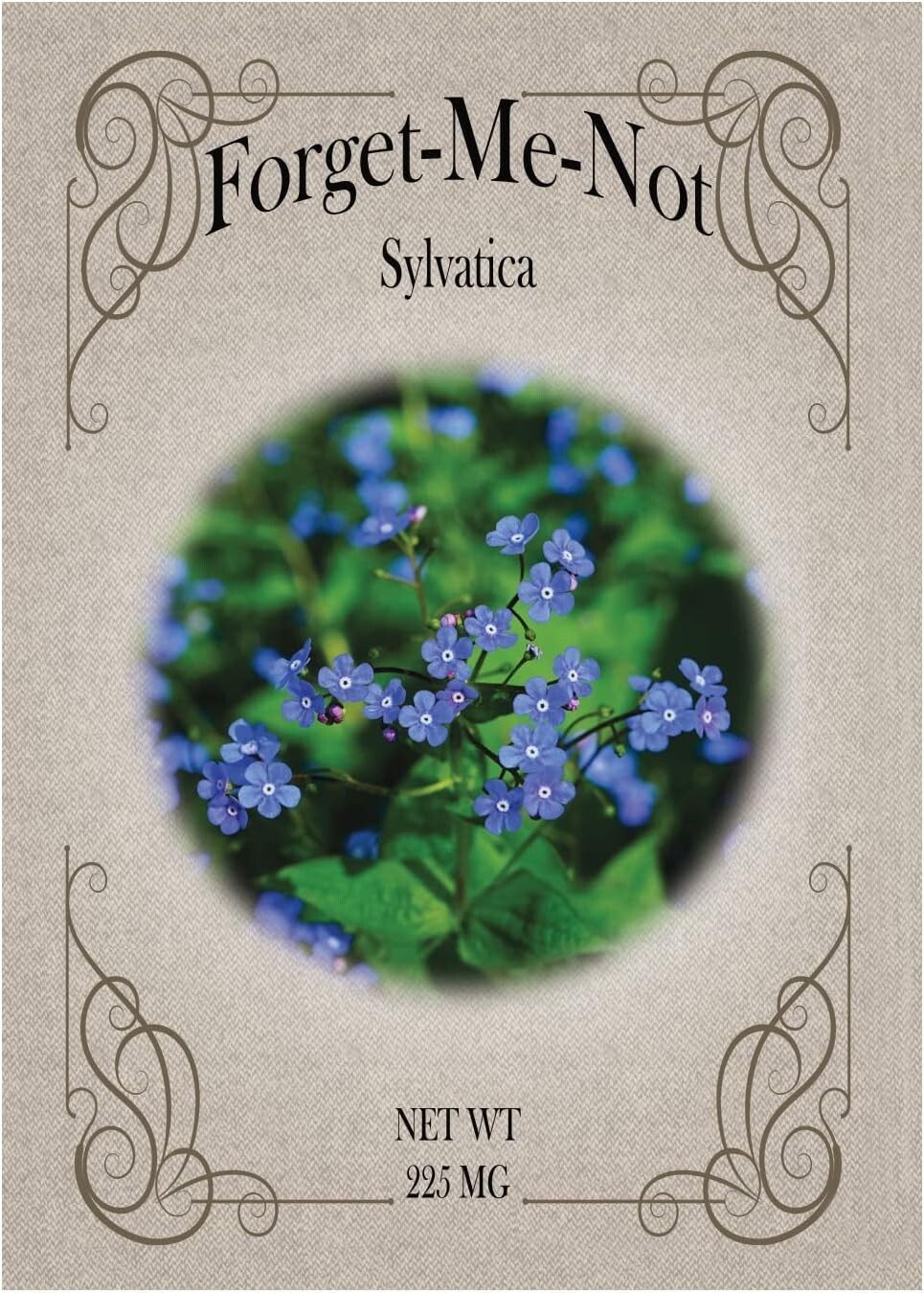 Set of Packs of Forget-Me-Not Flower Seed Packets! Flower Seeds in Bulk