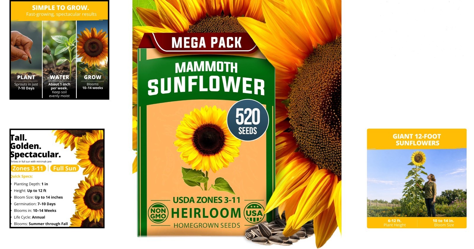 Giant Mammoth Sunflower Seeds 520+ Heirloom Non-GMO Pack for Planting Garden