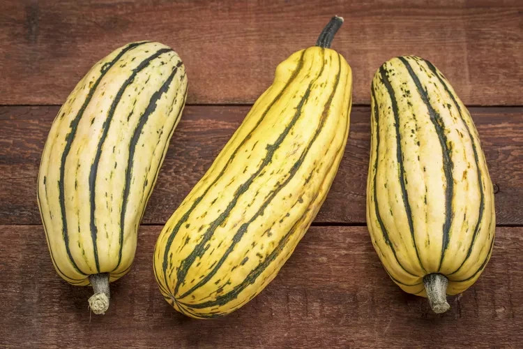 Delicata Squash, 20 seeds, Heirloom – Non-GMO Organic