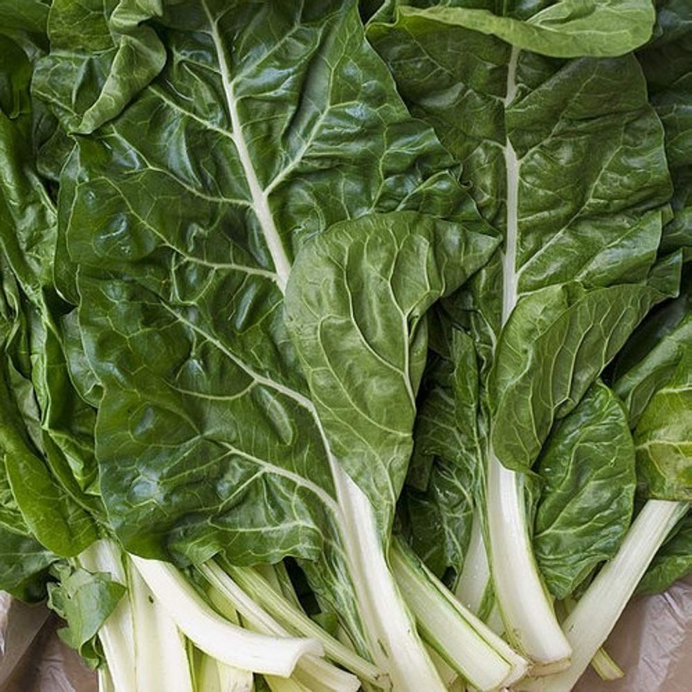 Fordhook Giant Swiss Chard Seeds – 200 Count Seed Pack – Non-GMO – A Standard Gr