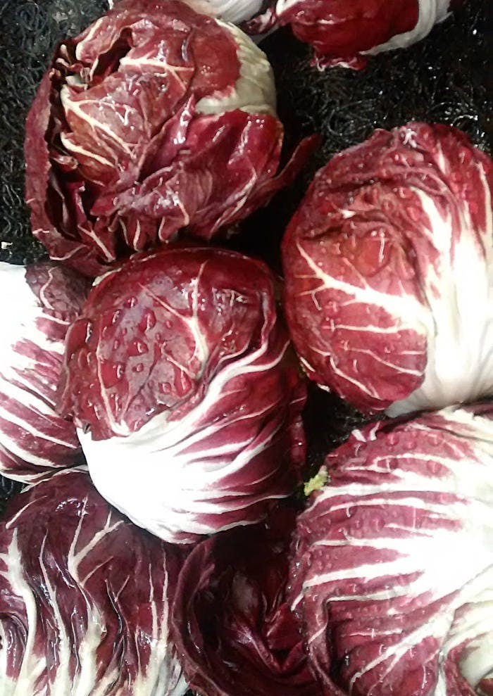 Radicchio Seeds Rossa Di Verona Heirloom Box Garden Seeds LLC Red Variety