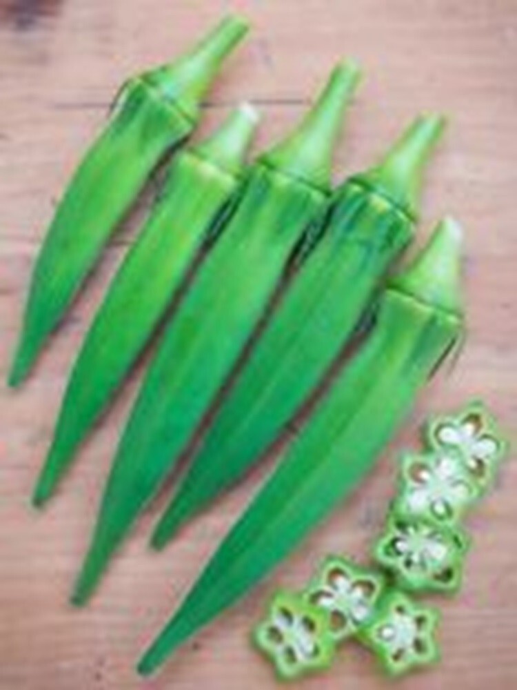 New 2026 Okra/ Bendi / Lady’s Finger – 50 seeds per packet -Free shipping