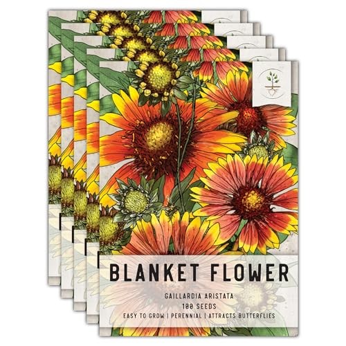 Blanket Flower Seeds for Planting – Heirloom & Open 5 Packs (500 Seeds)