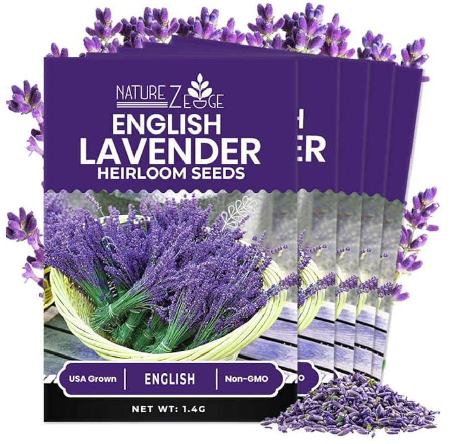 NatureZ Edge 1500 English Lavender Seeds for Planting Outdoors or Indoors