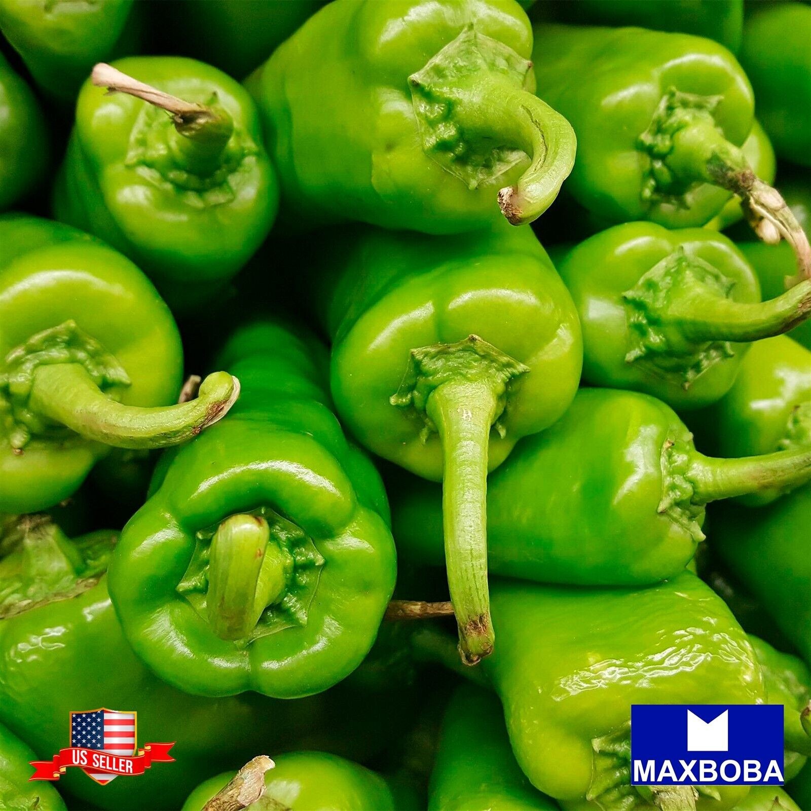 Pepperoncini Italian – Pepper 25 Seeds Sweet – Non-GMO Heirloom Vegetable Garden