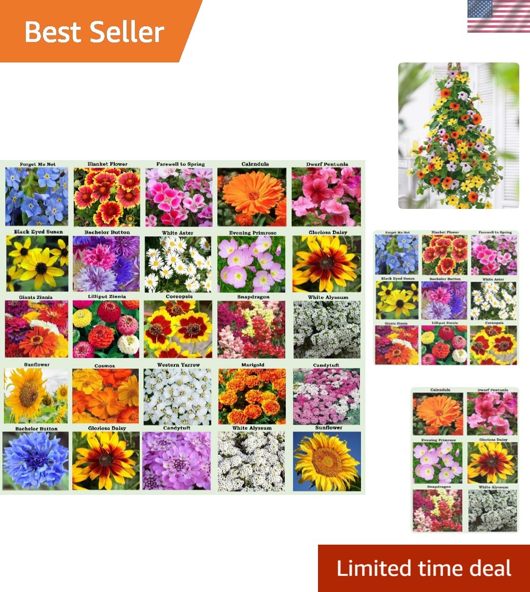 Vibrant Heirloom Flower Seed Collection – 25 Packets for Indoor & Outdoor Blooms
