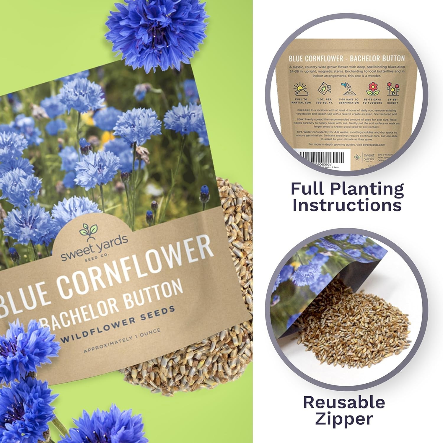 Blue Cornflower Seeds – 5,000 Extra Large Non-GMO Wildflower Seeds, Easy to Grow