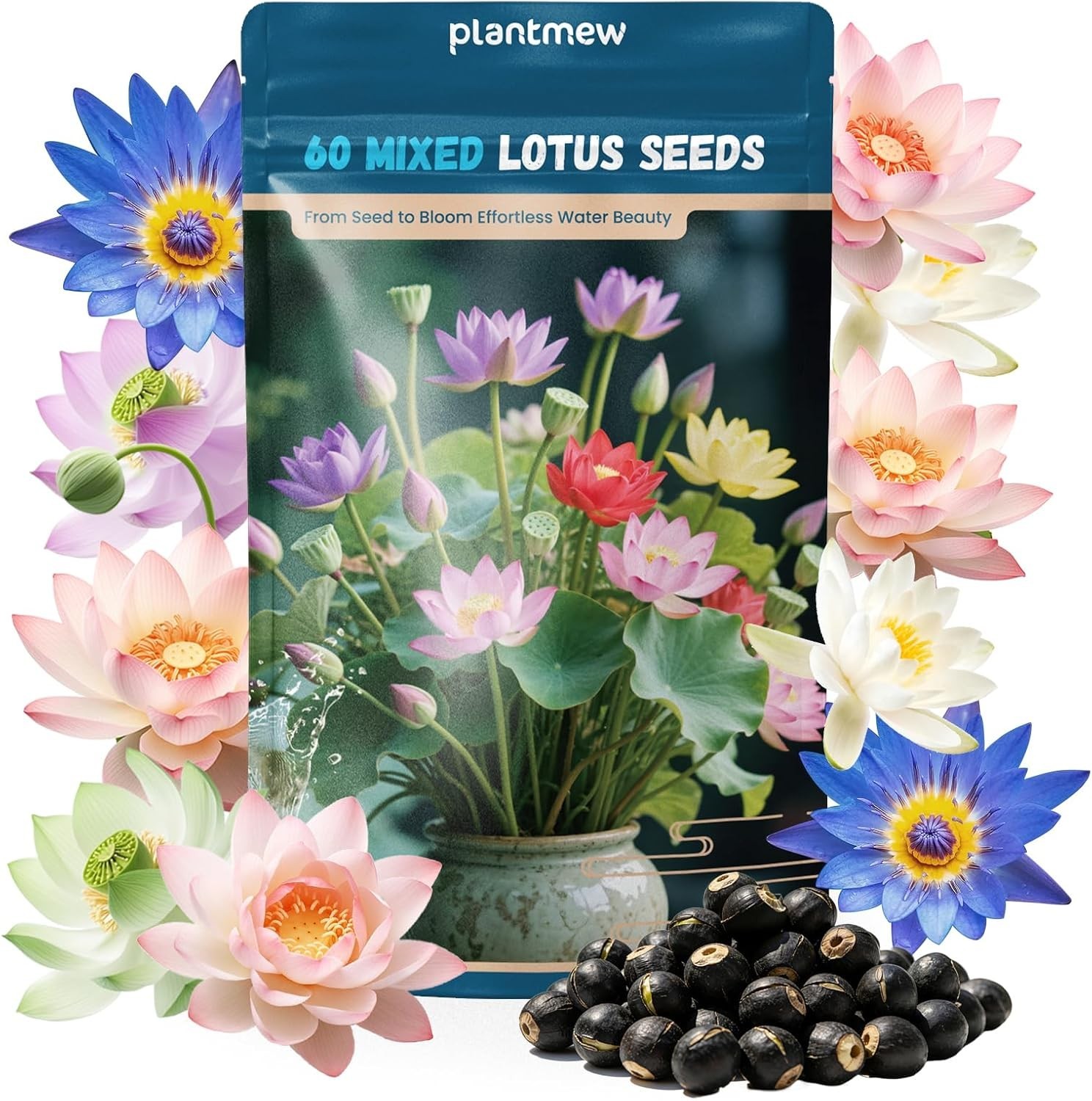 Heirloom Bowl Lotus Seeds – 60 PCS for Stunning Water Gardens & Air Purification