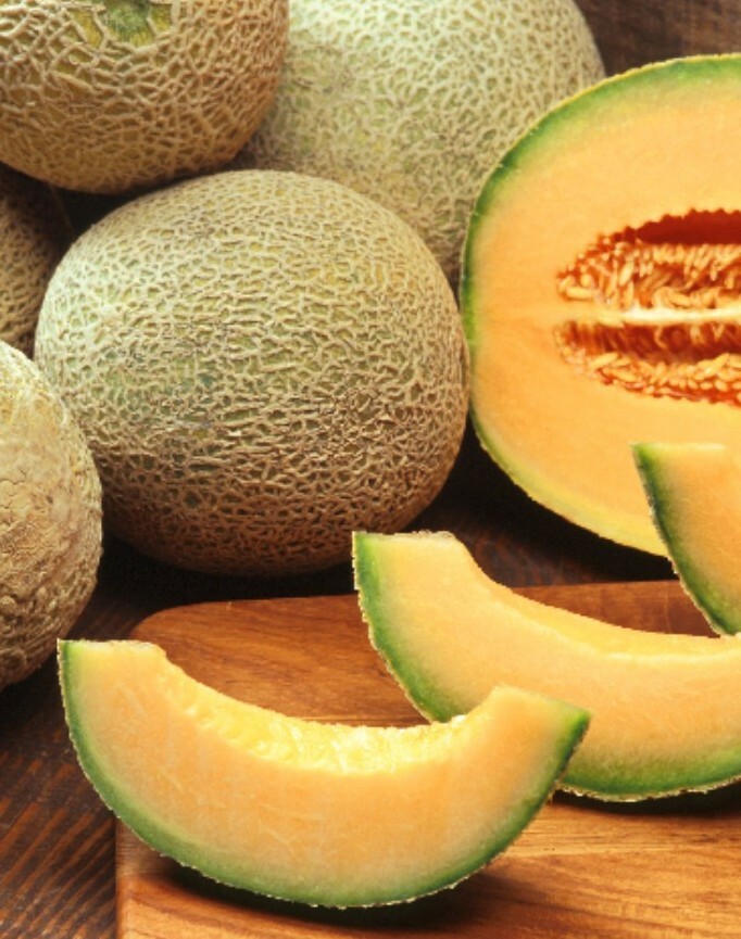 CANTALOUPE SEED​, HALES BEST JUMBO, HEIRLOOM, ORGANIC, NON GMO, 10 SEEDS, MELON