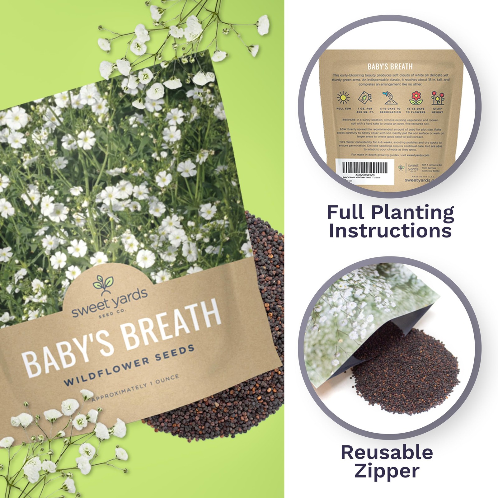 Showy Babys Breath Seeds, Bulk 1/4 Pound Bag, Over 80,000 Non-GMO Seeds