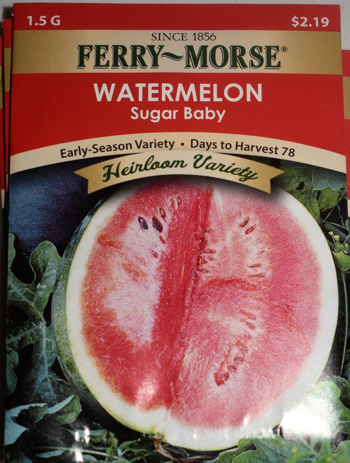(1) Pkg Ferry-Morse Watermelon Sugar Baby Seed Packets