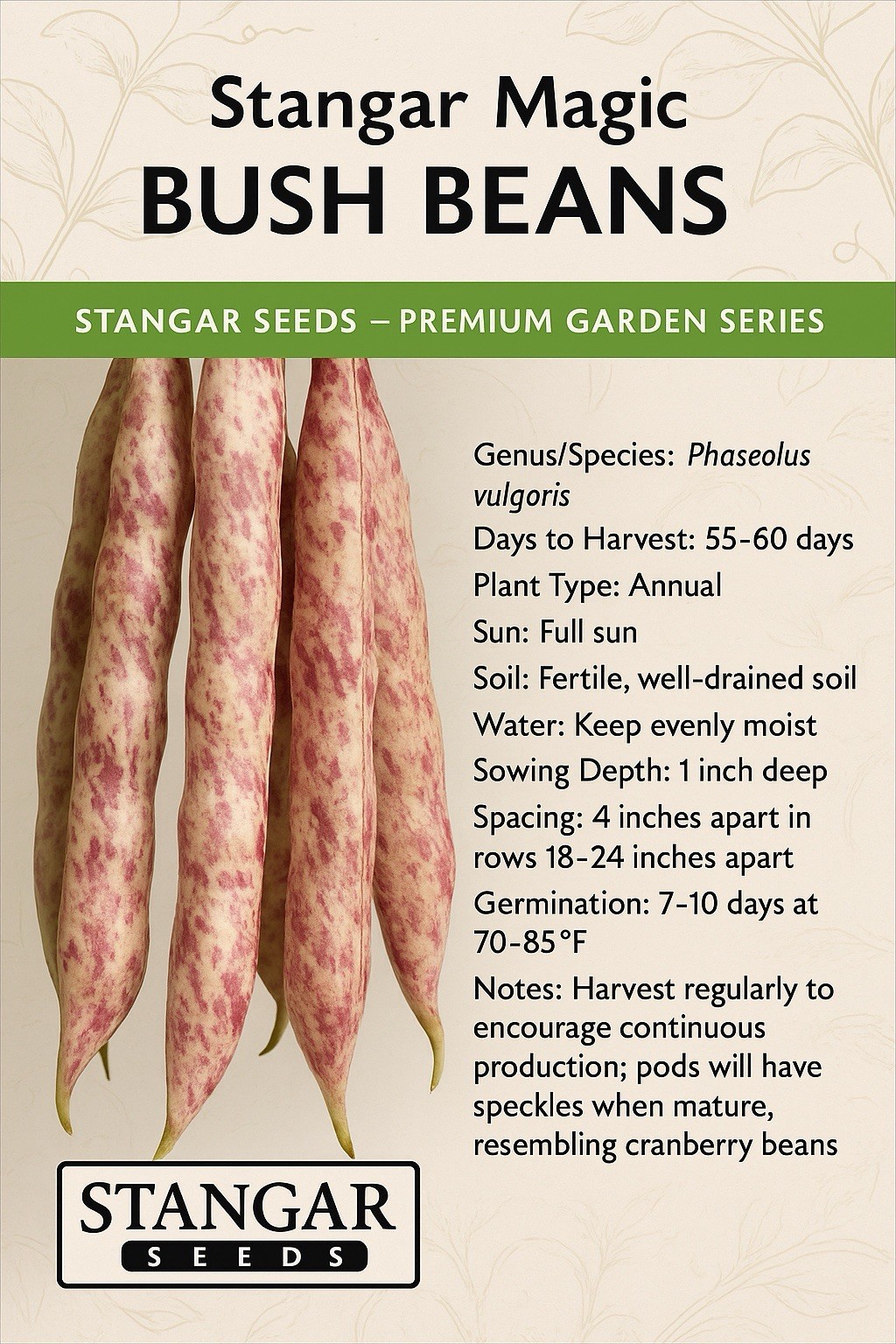 30+ Cranberry Beans Seeds Heirloom Non GMO 100% Organic Free Shipping