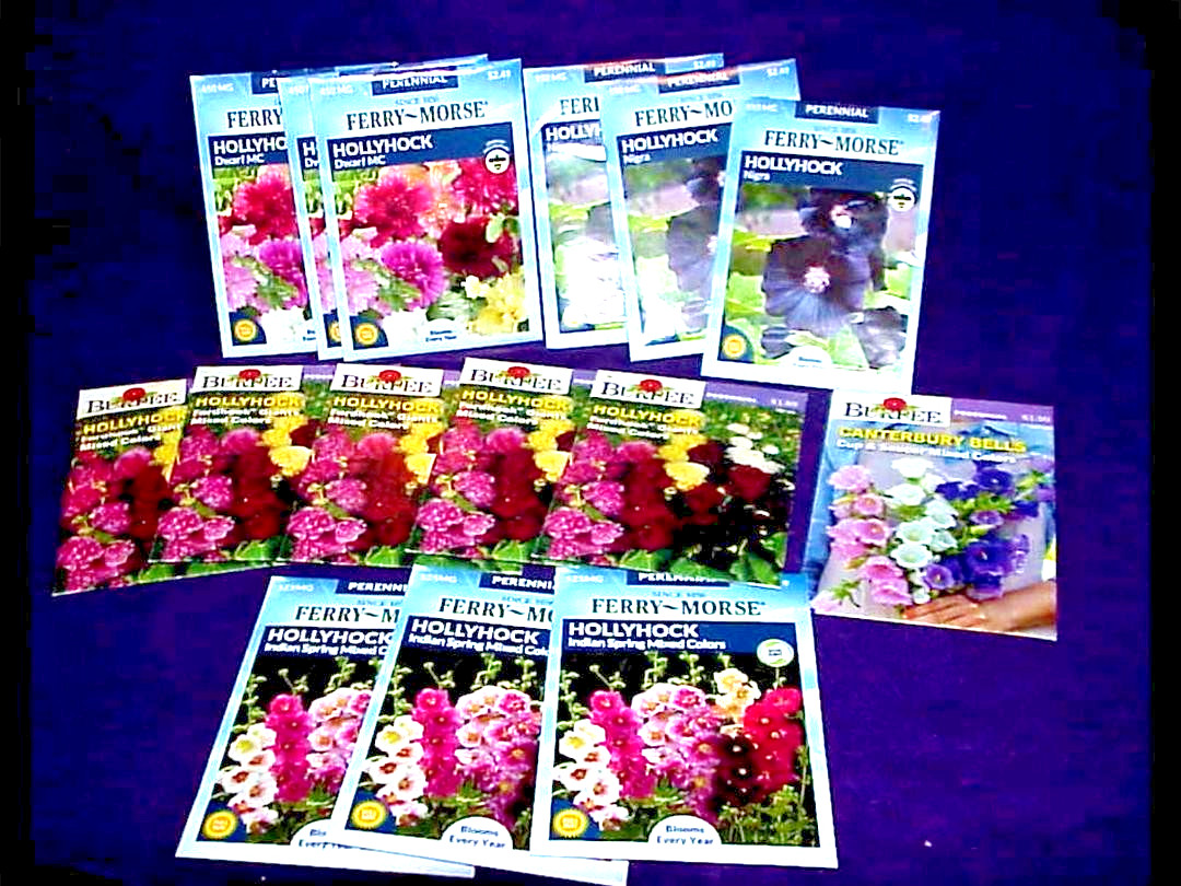 14 packs 2026 Hollyhock seed packs -mixed colors & sizes packed/2026 FREE SHIP