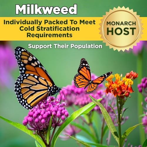 Monarch Butterfly Garden Kit Milkweed Seeds 1/4 lb Bulk Wildflower Pollinator Mi