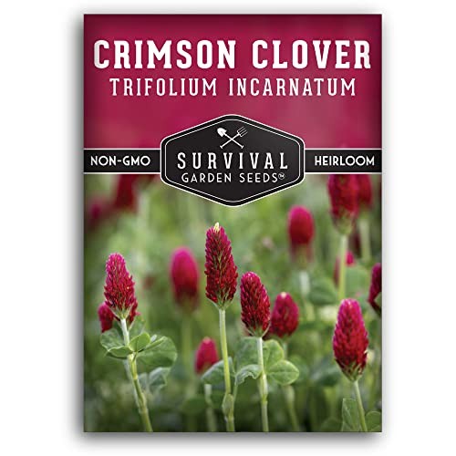 Crimson Clover Seeds for Planting – Heirloom Non-GMO Variety – Nitrogen 1