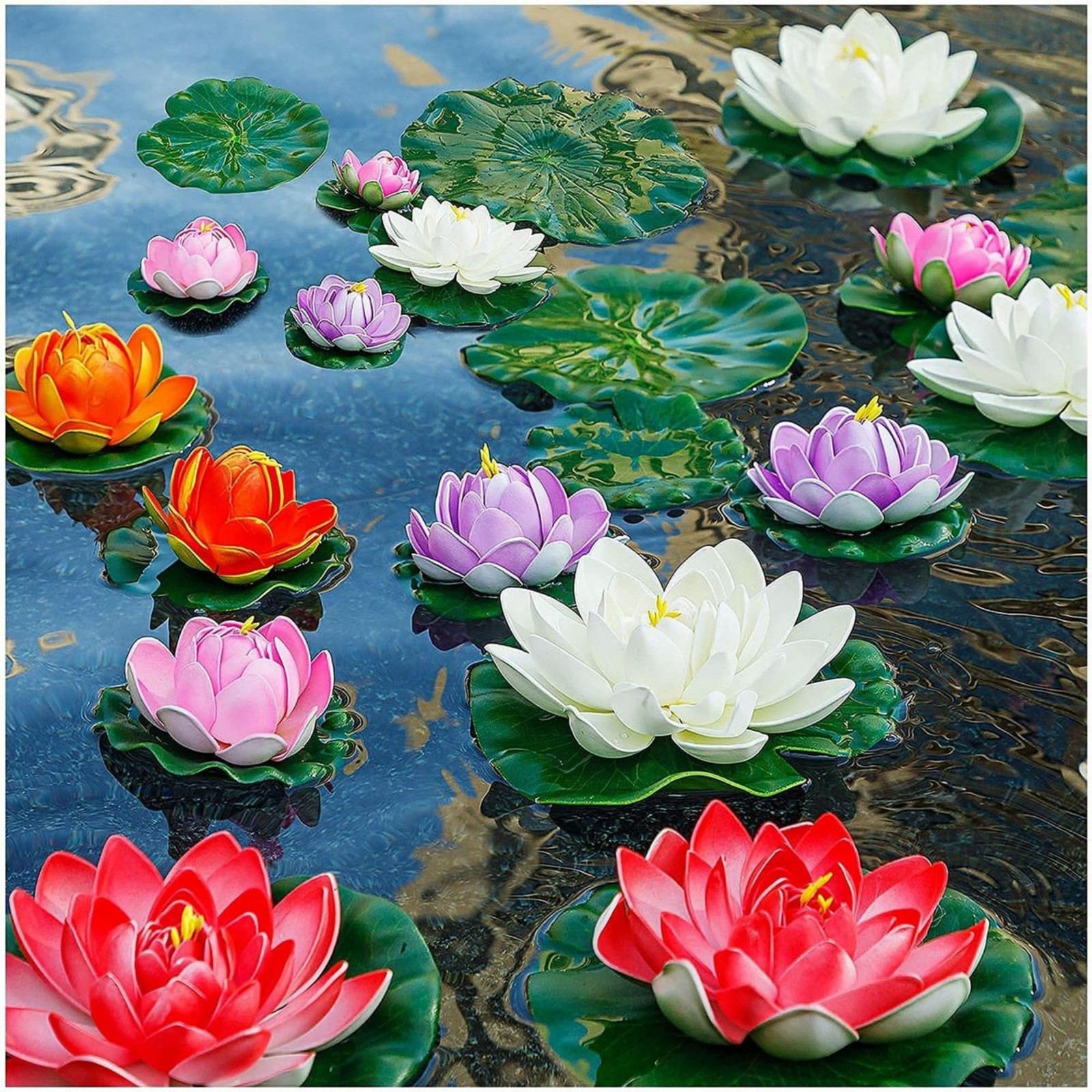 30+ Bowl Lotus Seeds Bonsai Lotus Seeds for Planting Water Lily Flower Plant …